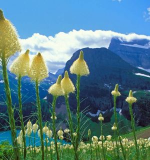 Glacier National Park