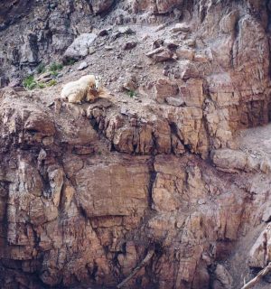 Glacier National Park