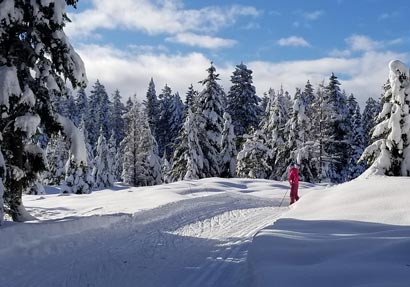 Seeley Lake