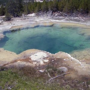 Yellowstone national Park