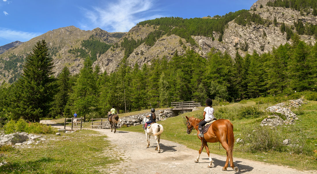 Horseback Riding